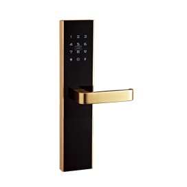 MOLILOCK Keypad Door Lock 117C99-G